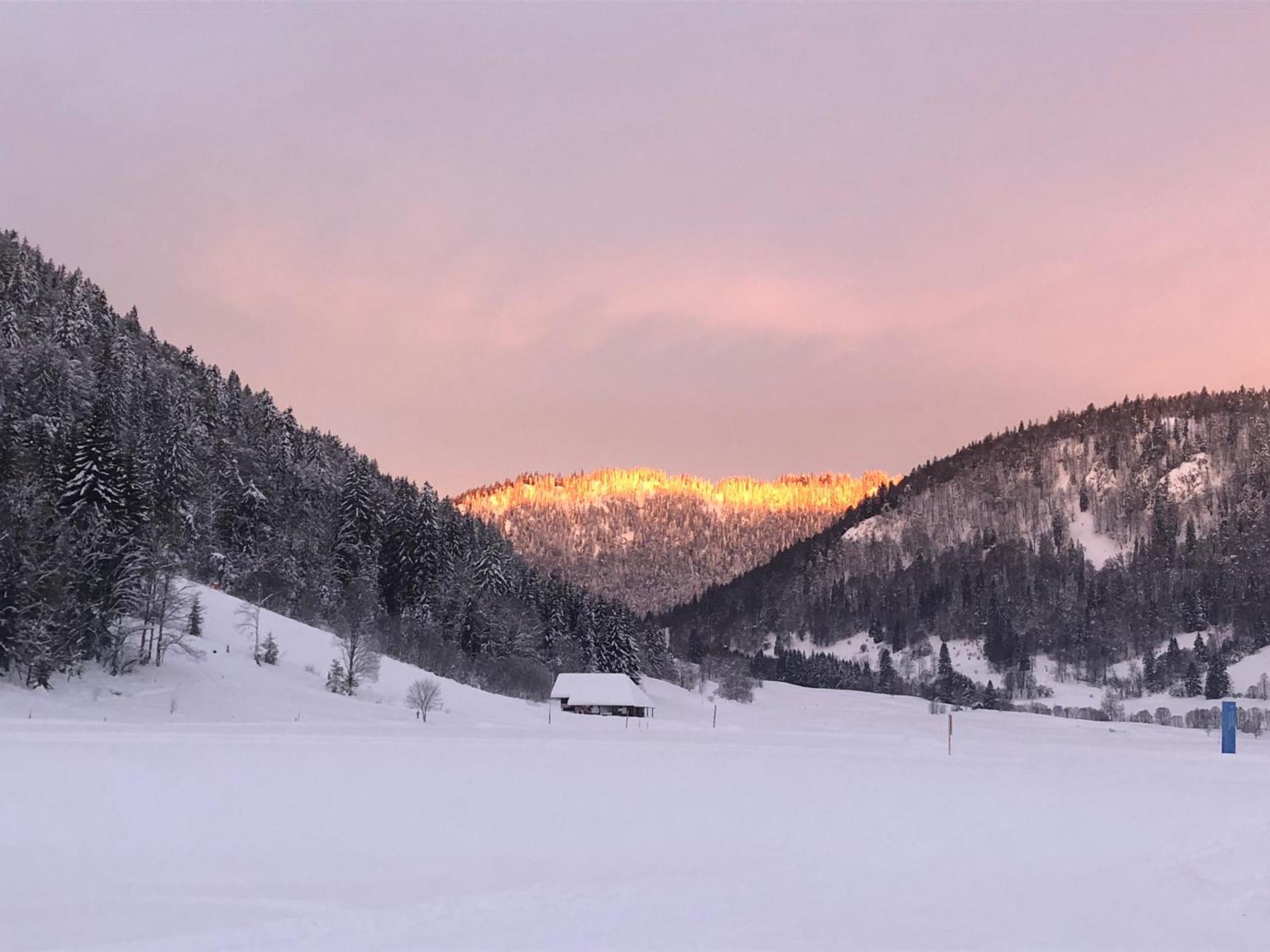 Forest Apartment-Mountain Escape Menzenschwand St. Blasien Esterno foto