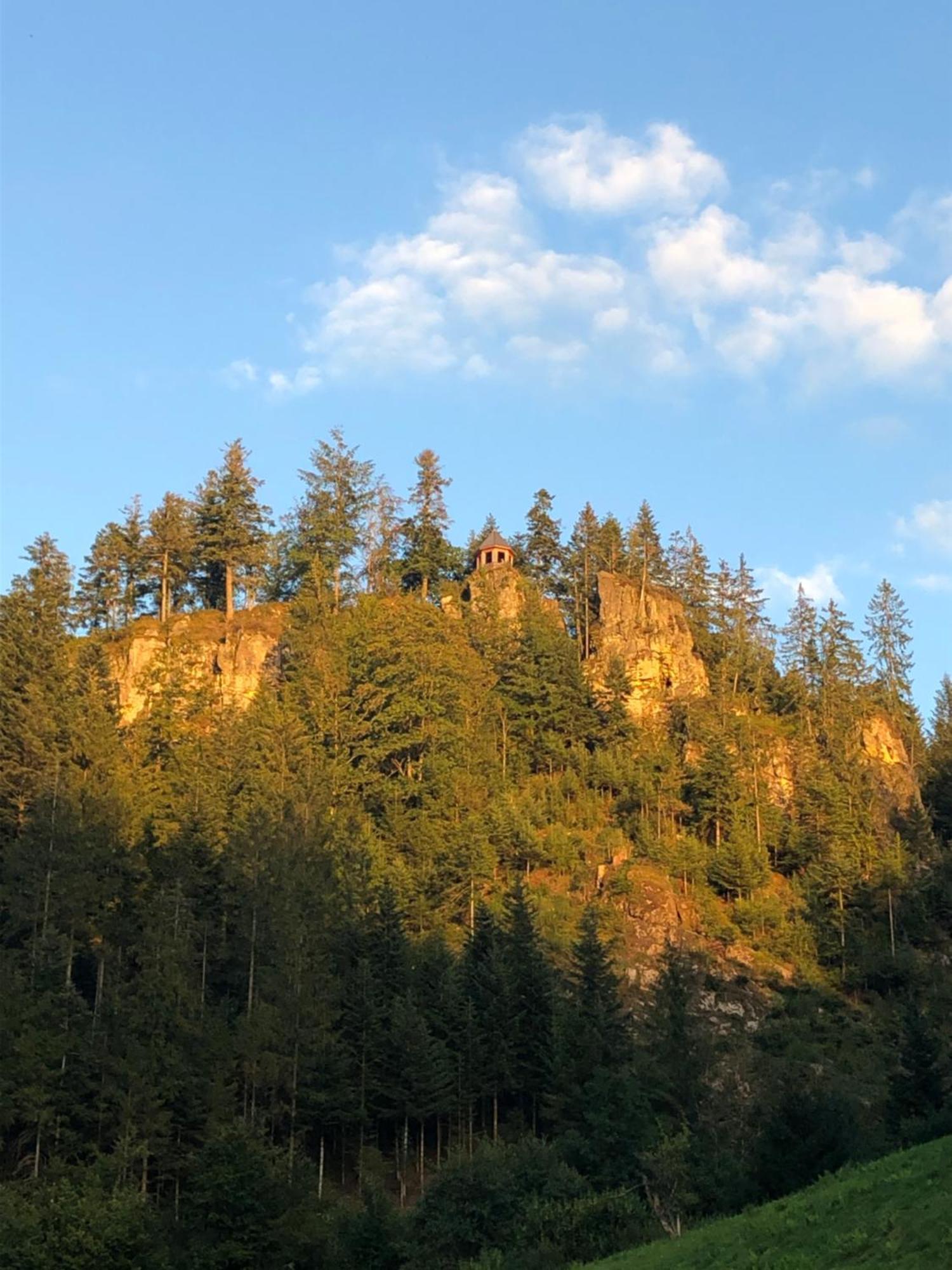 Forest Apartment-Mountain Escape Menzenschwand St. Blasien Esterno foto